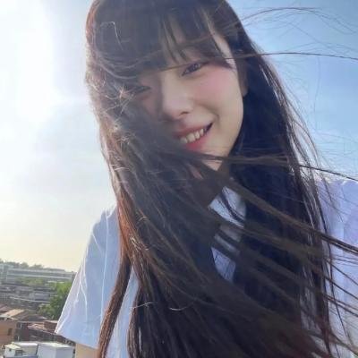 莉兹与青鸟